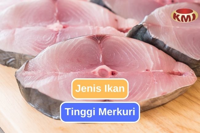 Hati-hati dengan 8 Ikan Tinggi Merkuri Ini